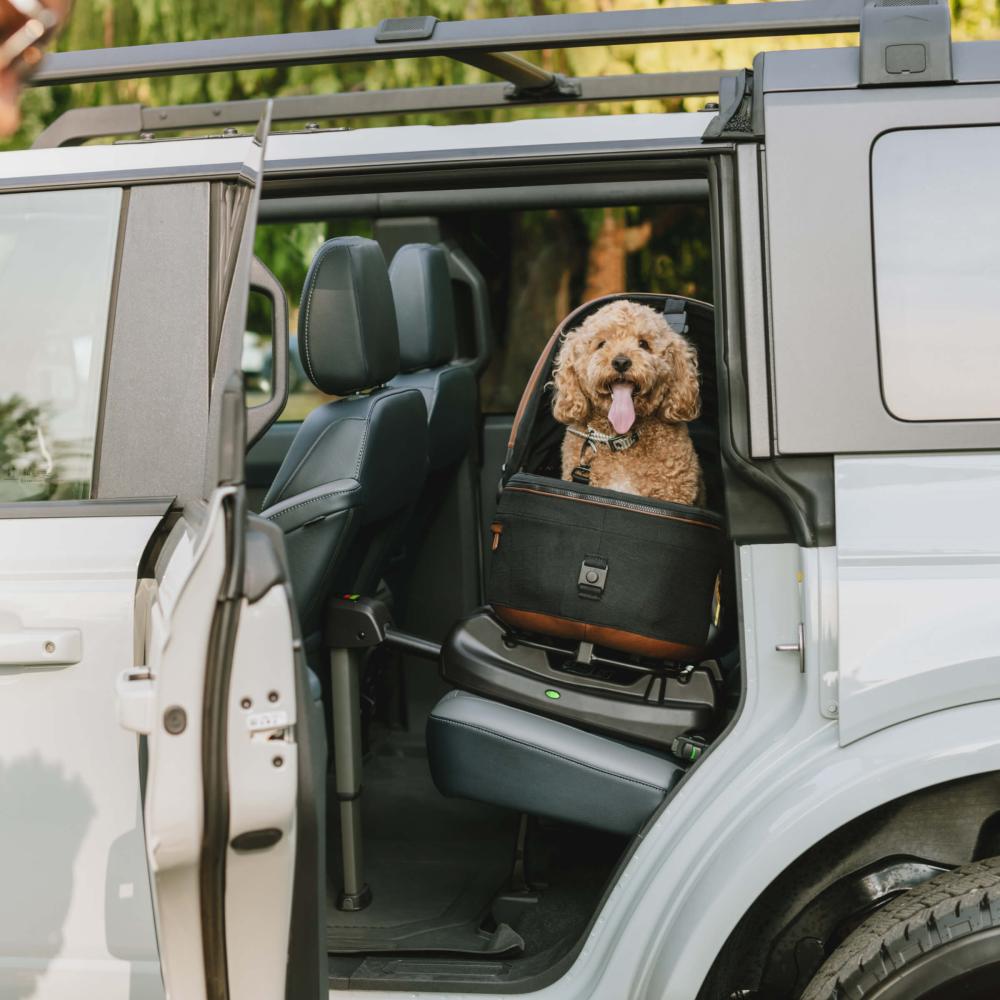 Tavo Maeve Pet Carrier | The Pet Car Seat for Safe Travels | Tavo Pets