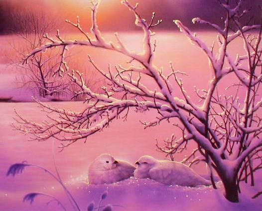 ビヨンドスプレンダー（ミックス）