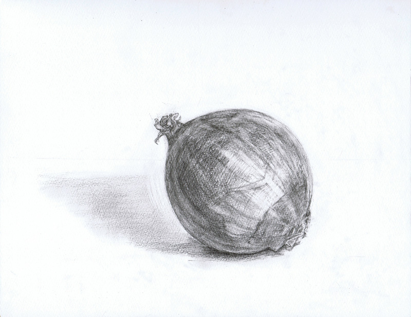 タマネギ-鉛筆デッサン描き方｜デッサン初心者のための描き方講座