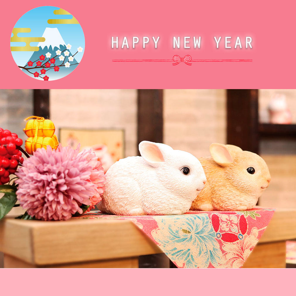 汎用うさぎセット グルーミーと汎用うさぎのセット チャックスGP