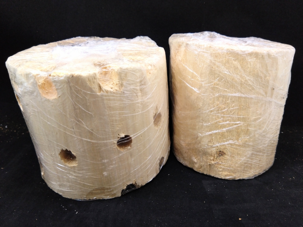 産卵材 | Dorcusfarm