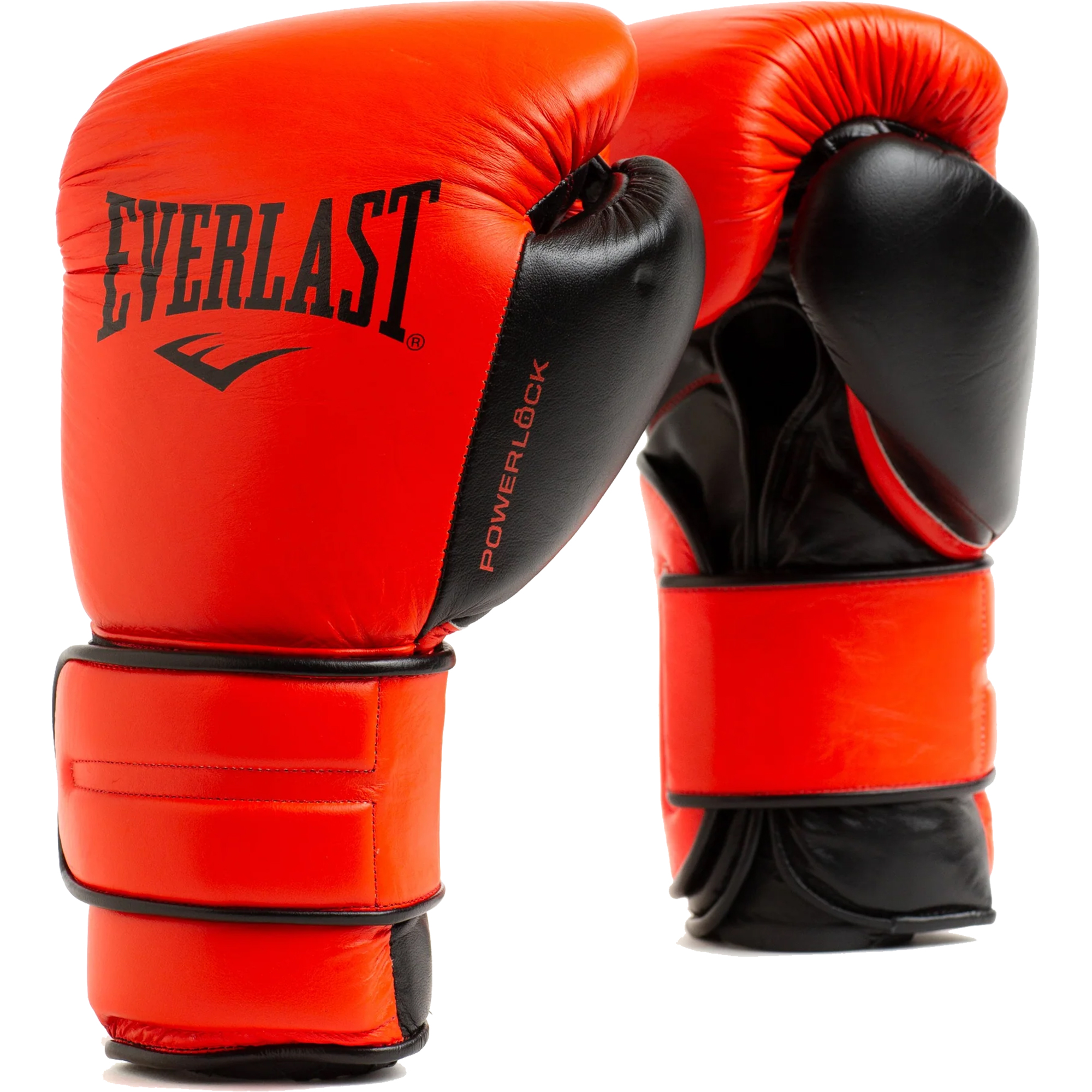 Everlast Powerlock 2 Pro Hook and Loop Training Boxing Gloves | eBay