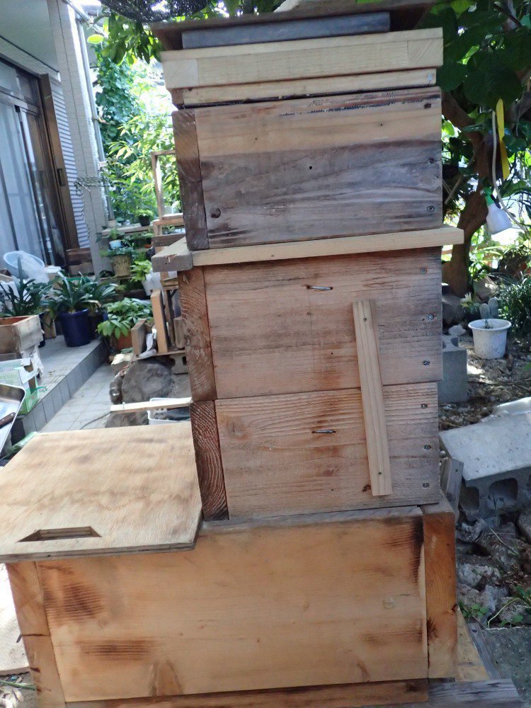 日本蜜蜂重箱式巣箱の継箱三箱！ハニーズハウス用！超訳あり特価