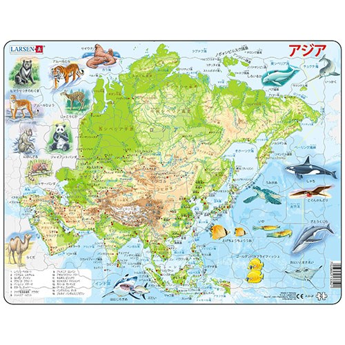 世界地図パズル セット | バラエティ | 介護用品・福祉用具通販の
