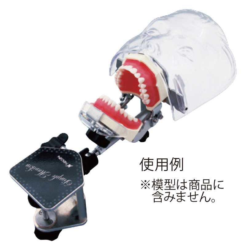 シンプルマネキン 歯科 NISSIN 歯科模型 ニッシン シンプルマネキンⅢ