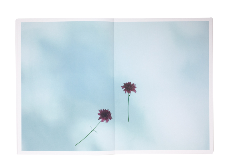 野口恵太 FLOWER FLOWER / 野口恵太 Keita Noguchi - books used and