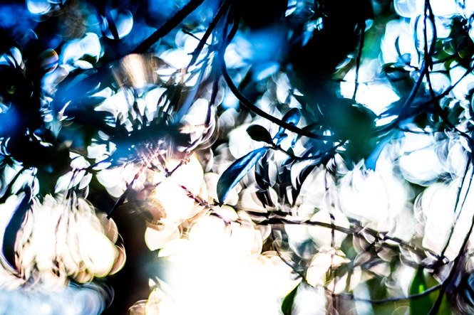 武田陽介 写真 現代アートプリント 072353 Yosuke Takeda