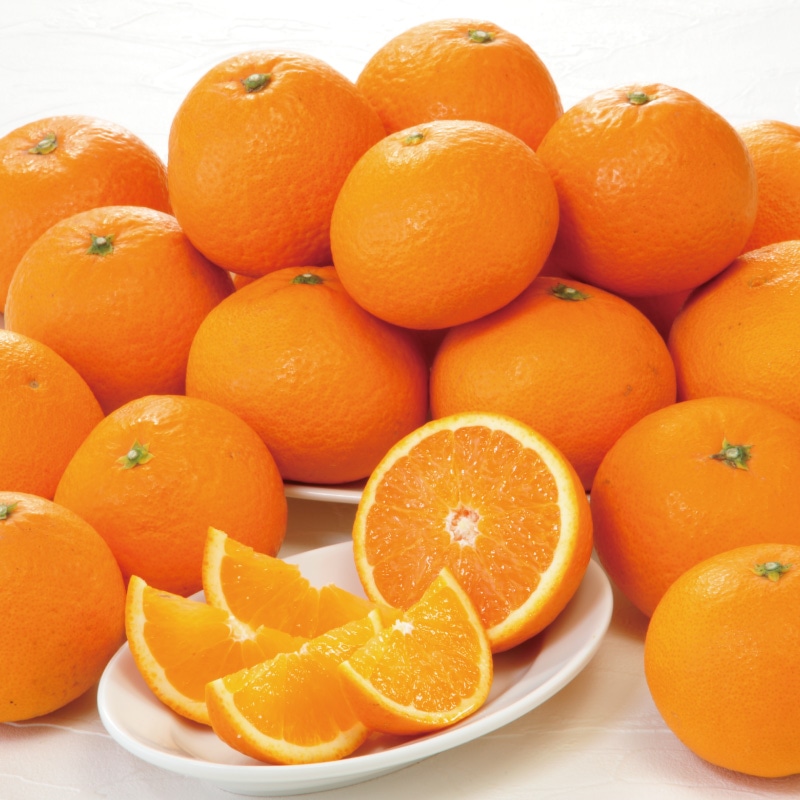 木熟清見オレンジ｜郵便局のネットショップ