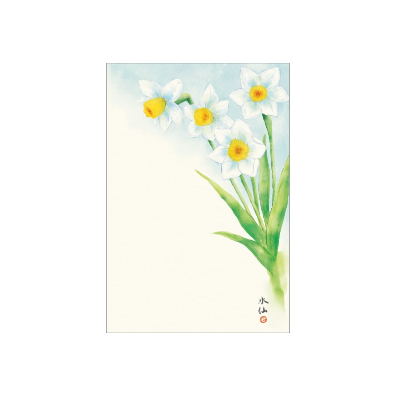絵入りはがき 2025冬柄 水仙 4枚セット｜郵便局のネットショップ