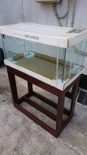 取引予定あり】ADA 中古 キューブガーデン 90×45×45 水槽 ADA キューブ