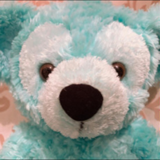 WDWカラーダッフィーミント WDWカラーダッフィーミント 希少