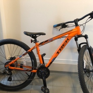 希少 オールドノリタケ シュガーボウル 急須 英国里帰り品 人気の着物