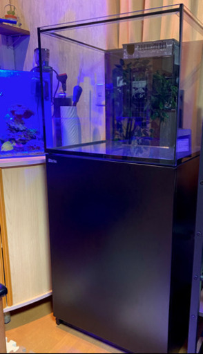 Red sea reefer 170 オーバーフロー水槽セット サンゴ