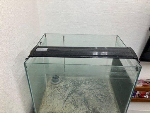 札幌市引き取り限定60cmオーバーフロー水槽セット