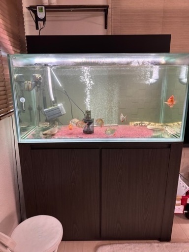 ガラス水槽 引取り限定 1200×600×600