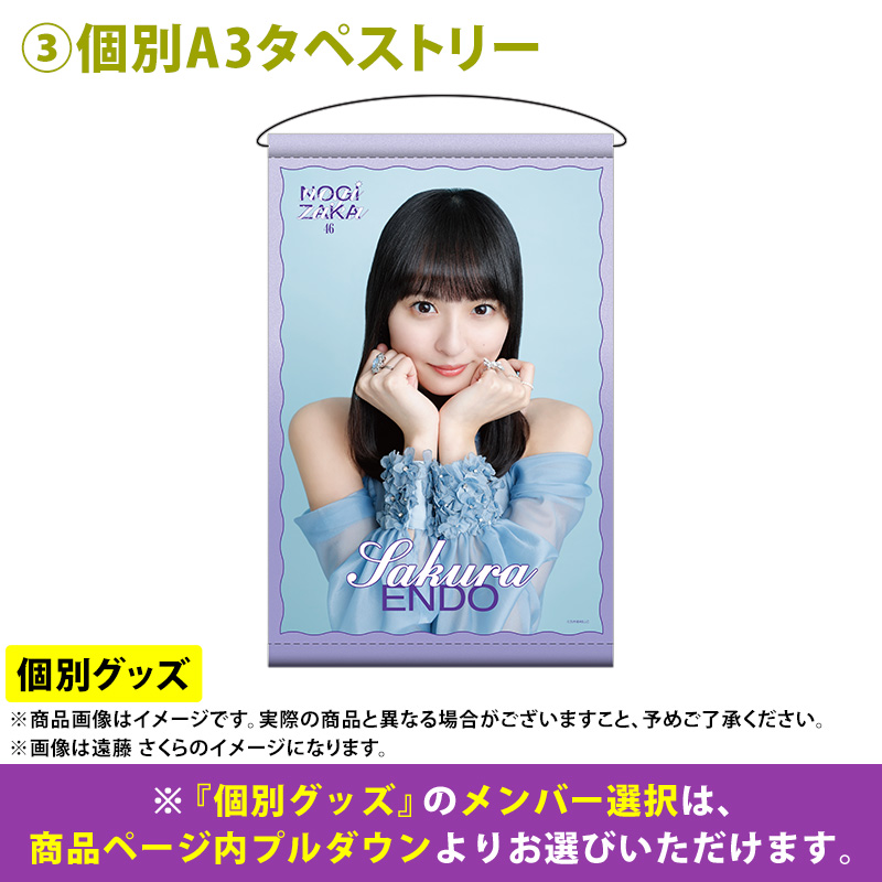乃木坂46 与田祐希 BIGアクリルスタンド 2025.Lucky Bag 乃木坂46 与田