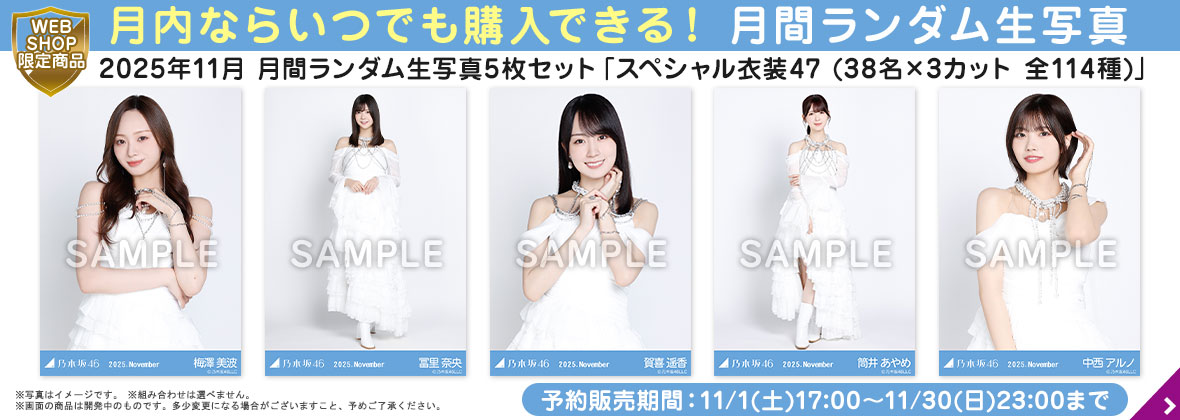 乃木坂46 西野七瀬 個別ミニタオル 個別デカタオル 一覧 乃木坂46 西野