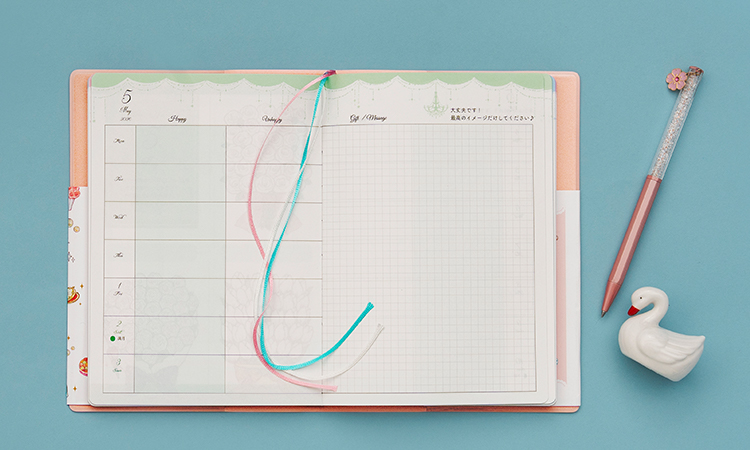 お姫さま手帳 2026｜ディスカヴァーの手帳
