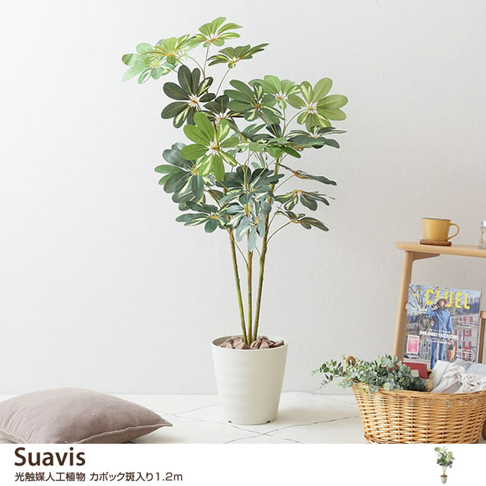 g46047]Suavis 光触媒人工植物 カポック斑入り1.2m 観葉植物 | 家具