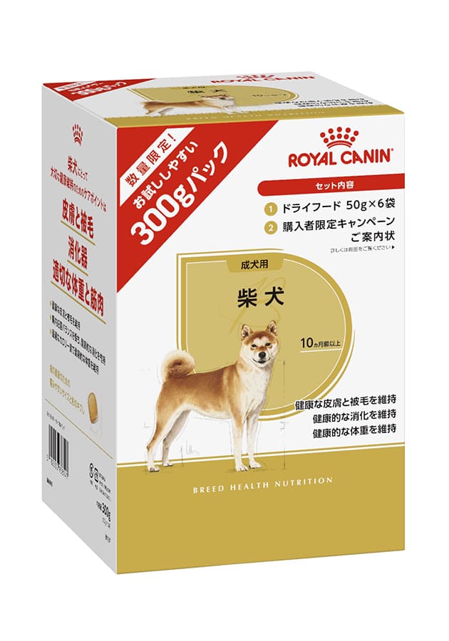 ロイヤルカナン柴犬 成犬用 ドライフード 8kg ロイヤルカナン（ROYAL