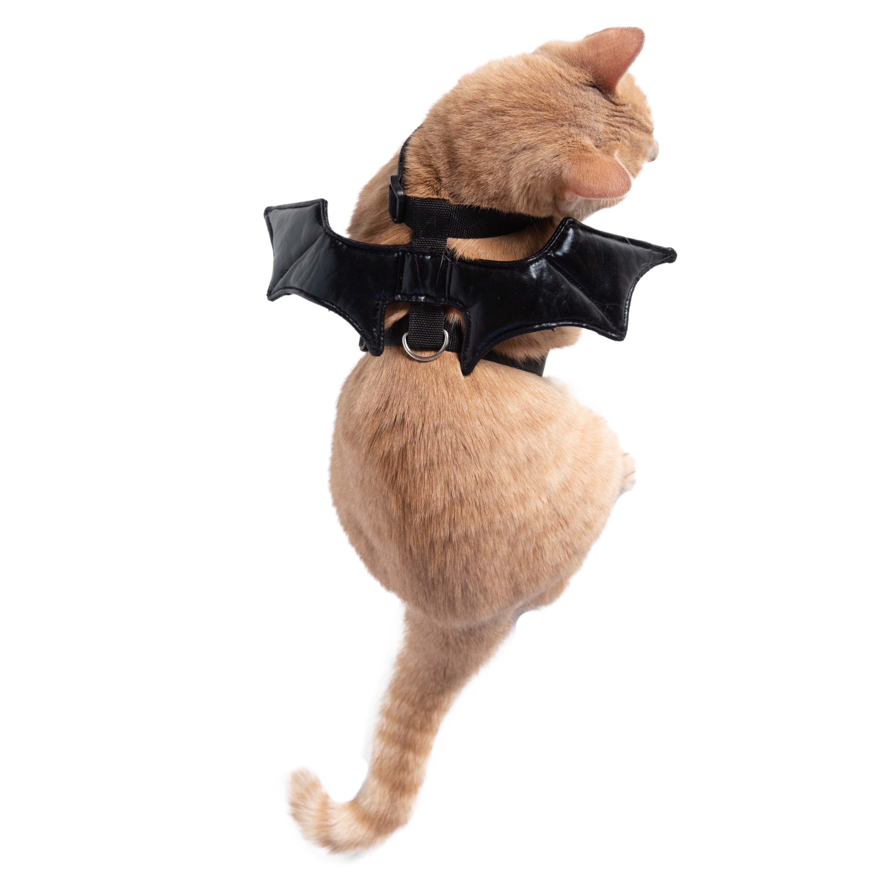 Cat Bat Wing Harness