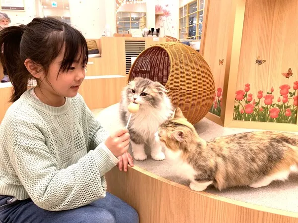 大人気おやつ「550円⇒無料」クーポン！』猫カフェ MOCHA（モカ