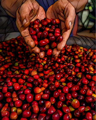 Customizable Roasted Coffee Bags - TCP Specialty Coffee - Those