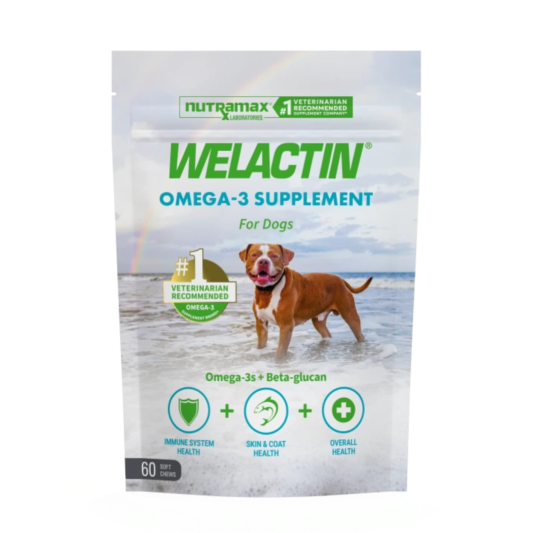 Welactin® Omega-3 Soft Chews for Dogs | Plus Immune Support