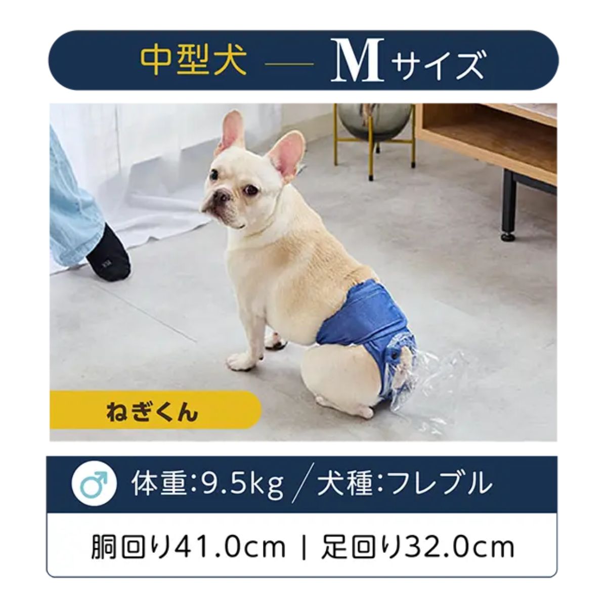 商品詳細｜FrienDoggy（フレンドギー）公式オンラインストア