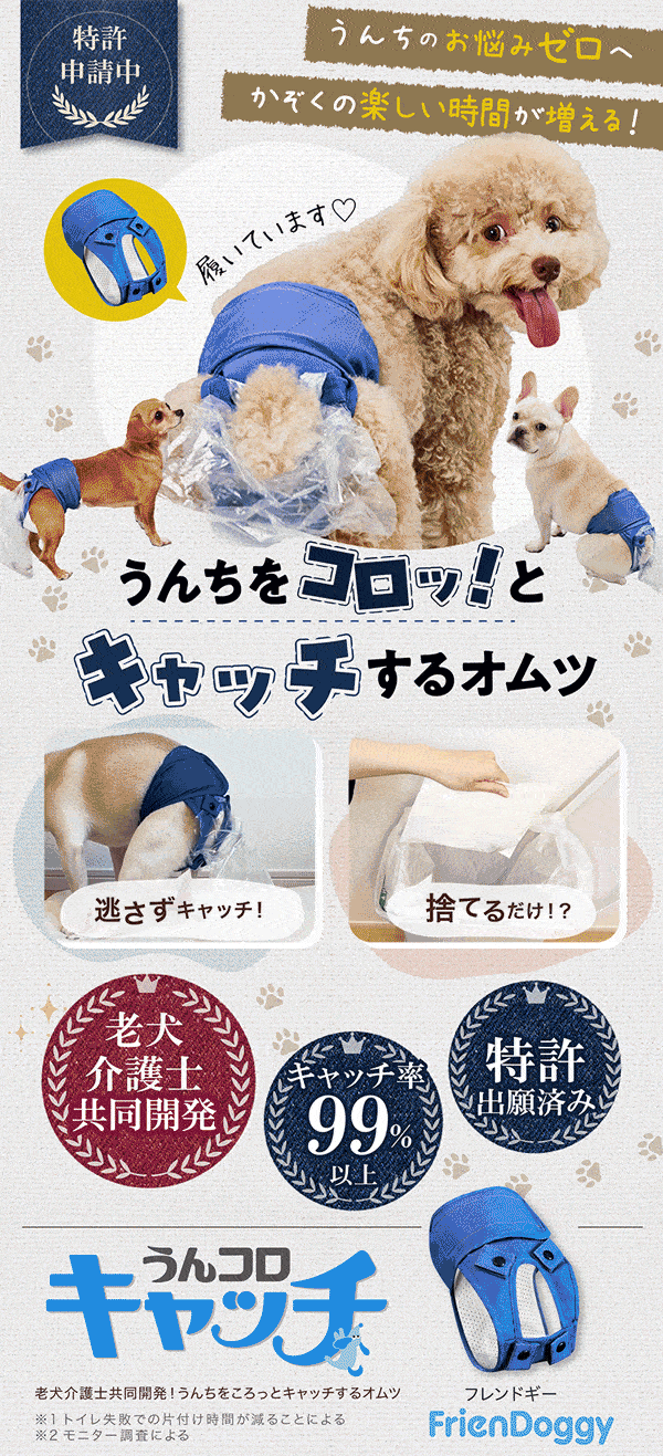 うんコロキャッチ 【公式通販】 うんコロキャッチ