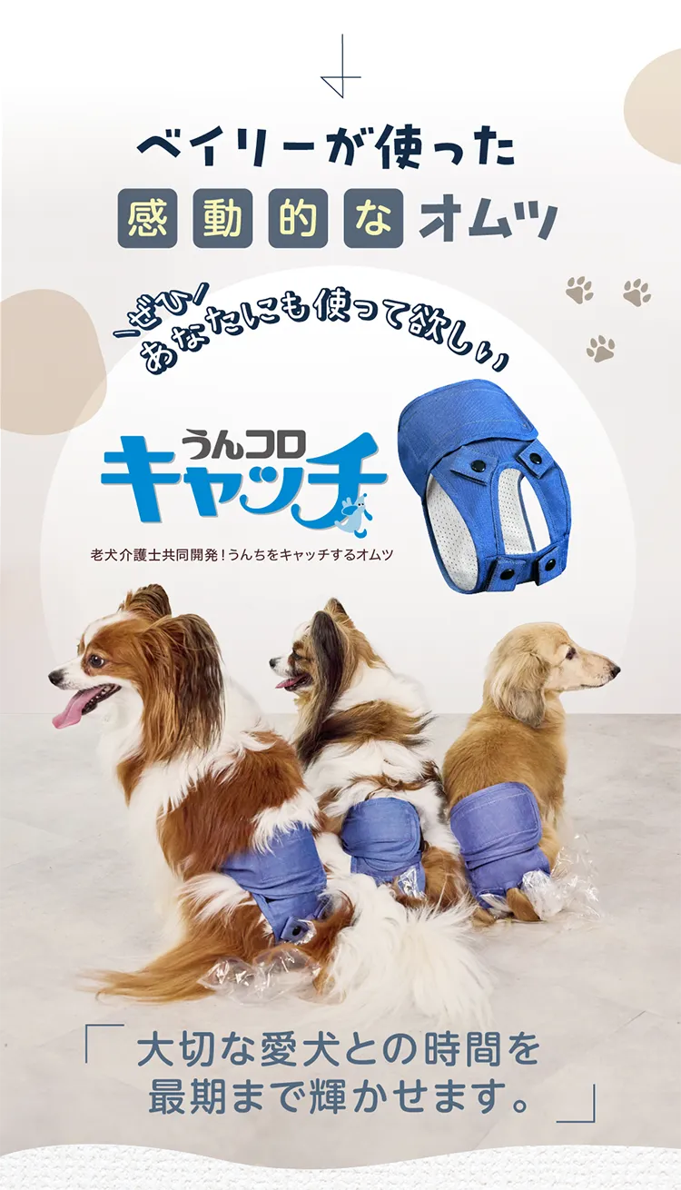 うんコロキャッチXSセット うんコロキャッチ xs うんコロキャッチXS