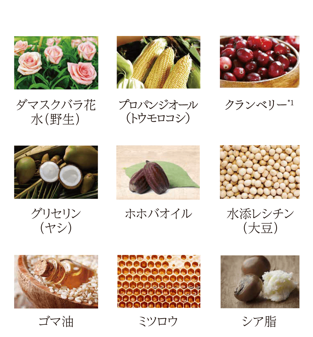 オメガローズクリーム | フルティア