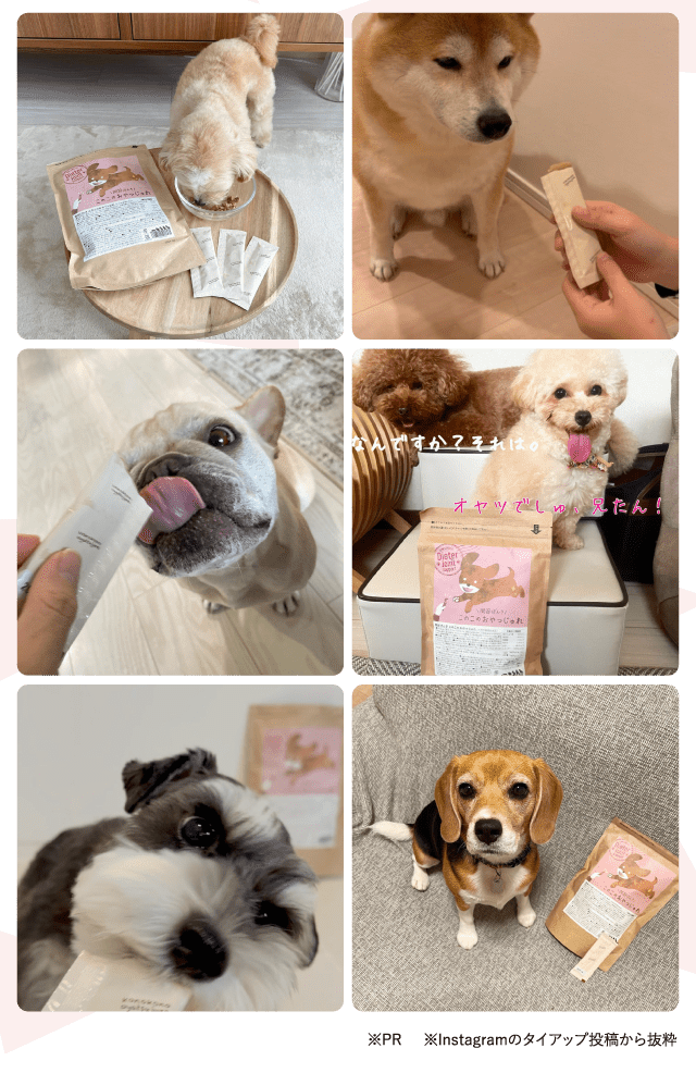 このこのおやつじゅれ｜コノコトトモニ