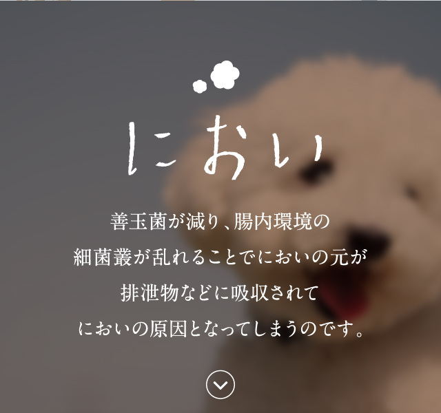 公式】このこのごはん