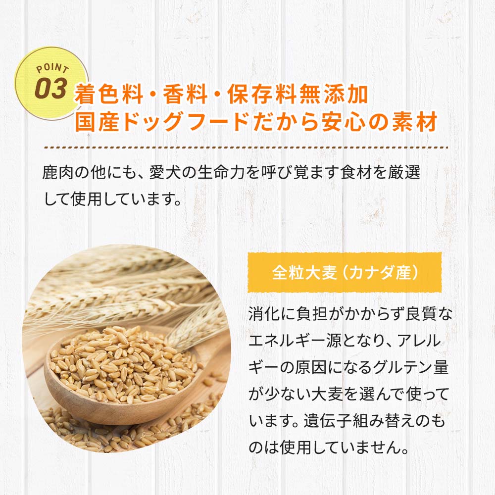 鹿肉麹熟成｜ペットスタンス ドッグスタンス キャットスタンス｜安心の