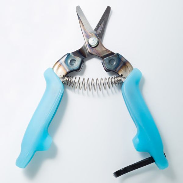 青い安全はさみ Blue Summit Supplies 子供用はさみ 快適なグリップ