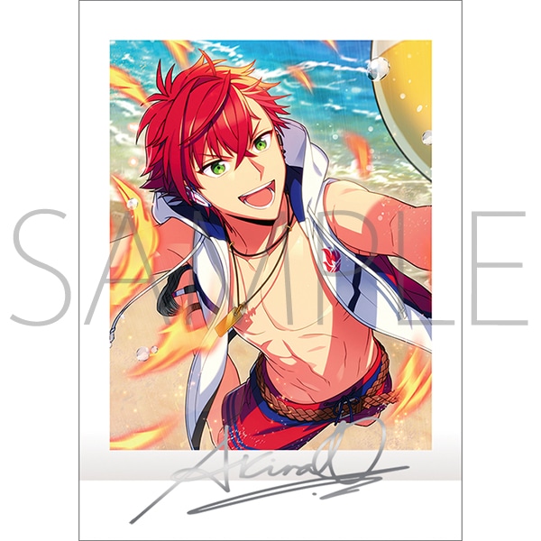 エリオスライジングヒーローズ エリオスR グレイ ぱしゃこれ 2