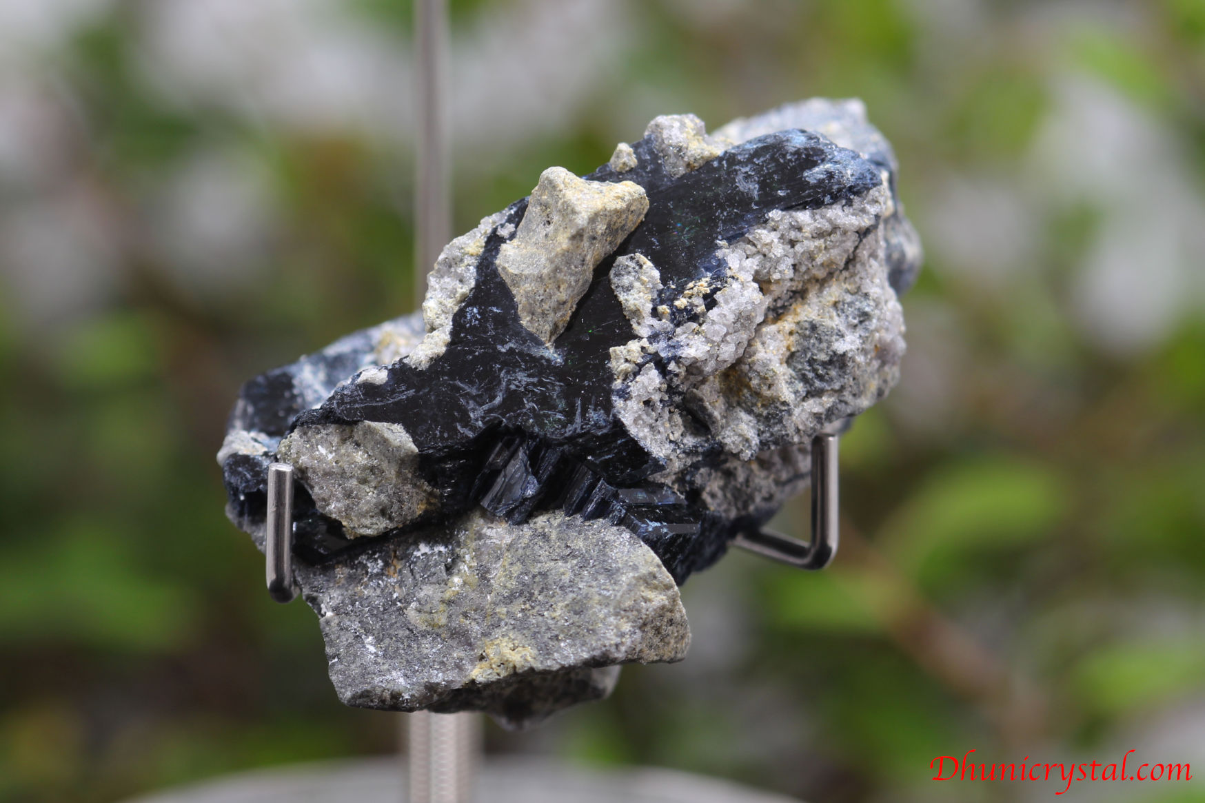 ビビアナイト 貝 鉱物 標本 原石 ビビアナイト 貝 鉱物 標本 原石