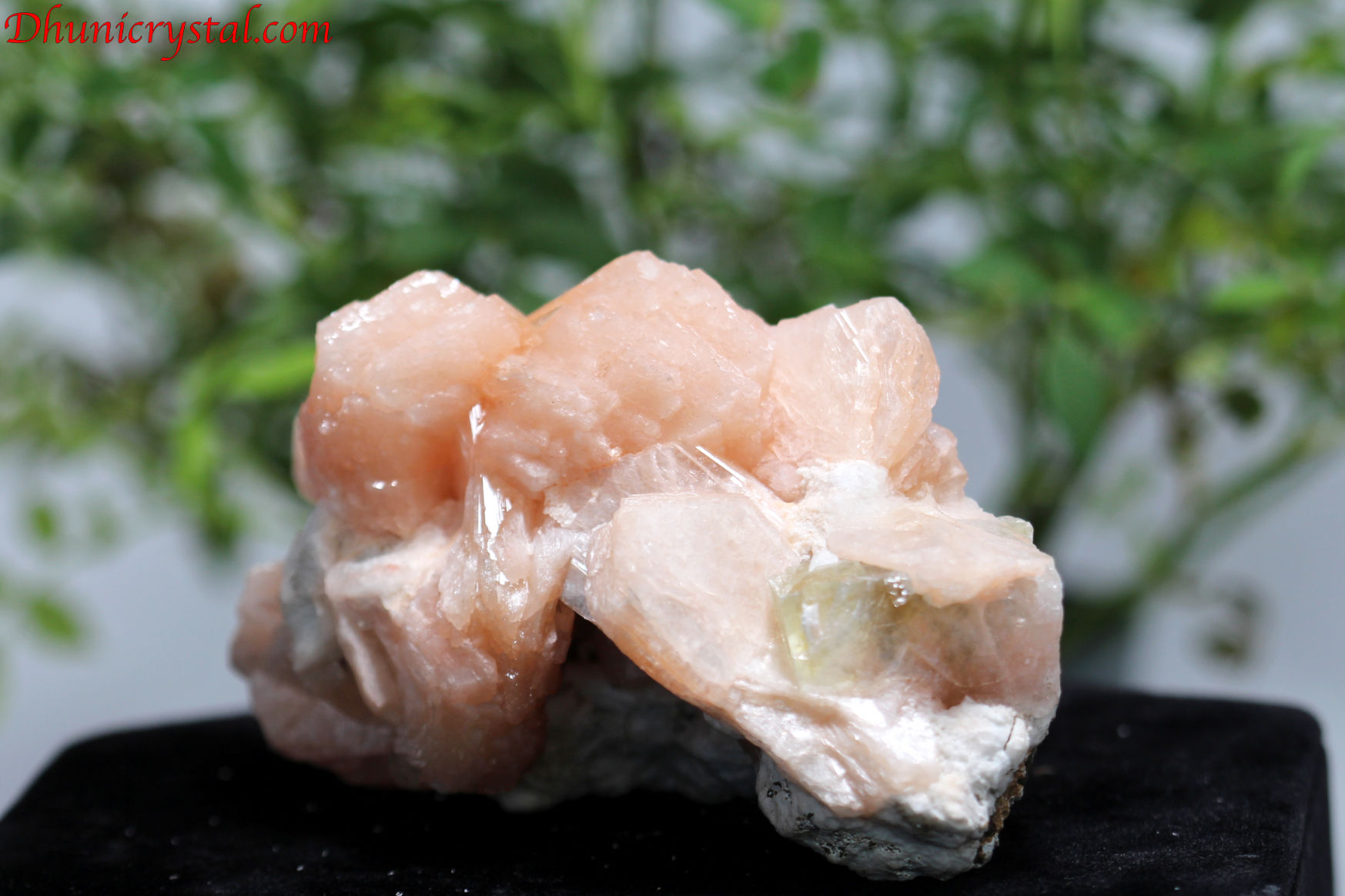 ピンクスティルバイト＆グリーンアポフィライト(D732)