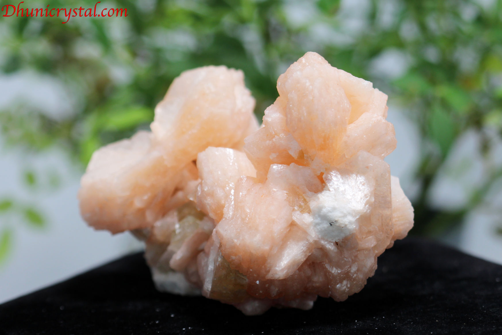 ピンクスティルバイト＆グリーンアポフィライト(D733)