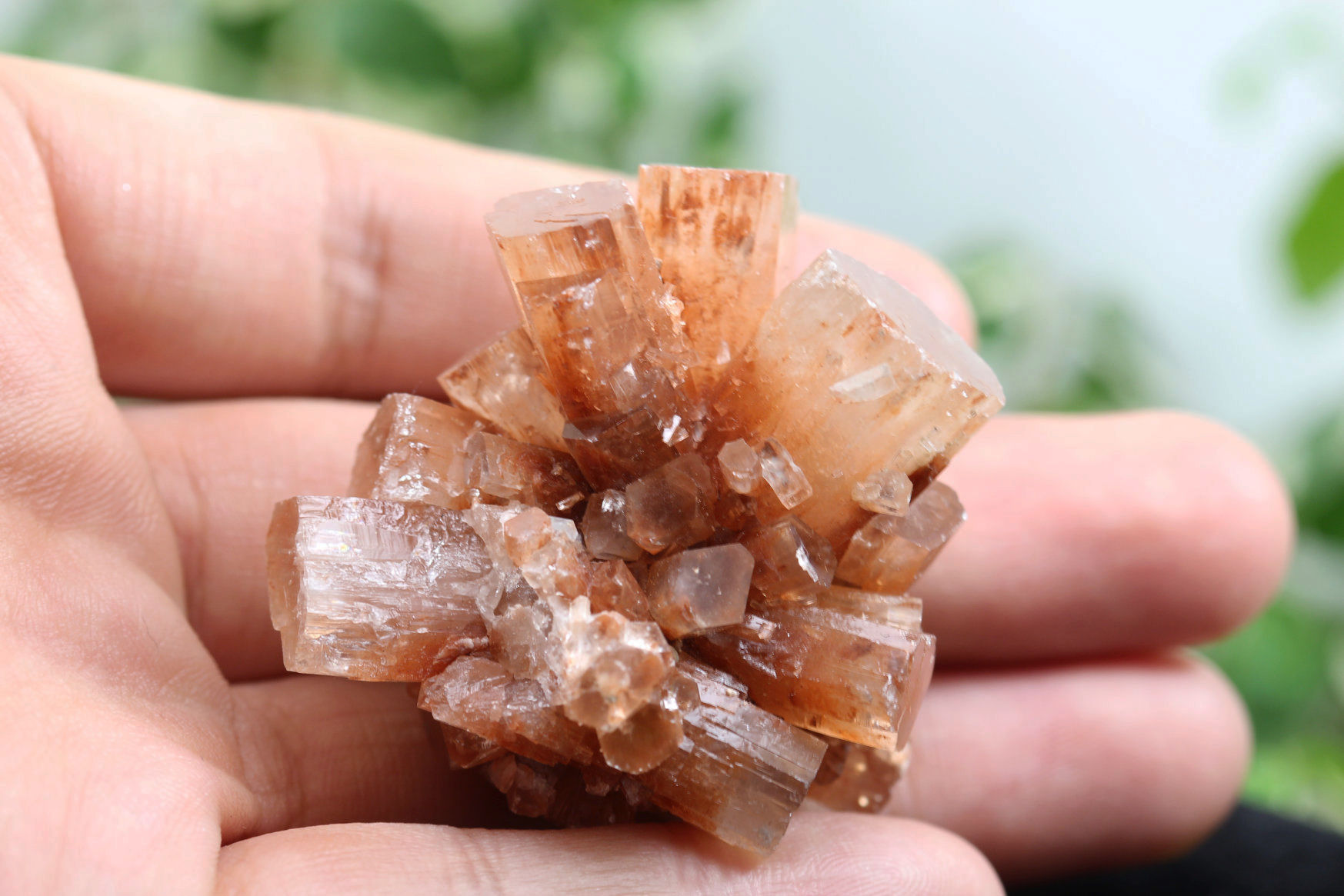 アラゴナイトクラスター(G873)