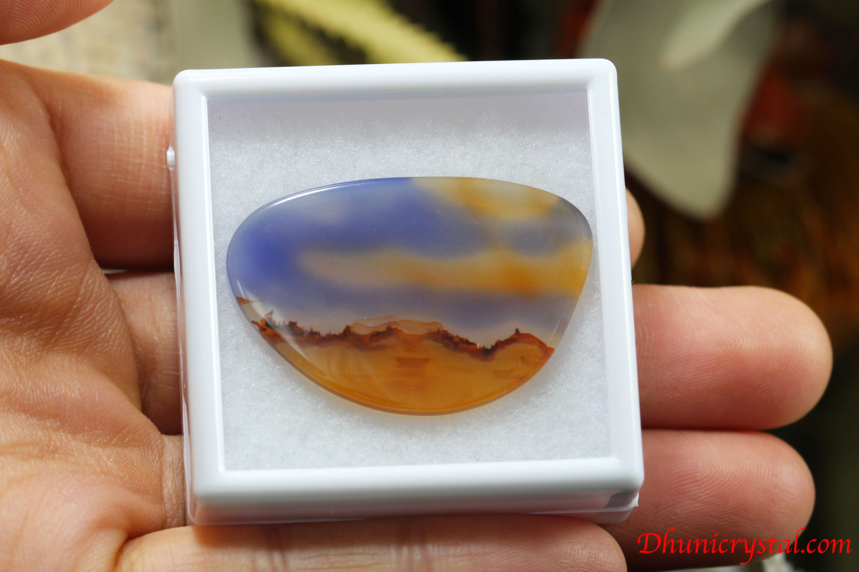 コレクターズアイテム】ターキッシュアゲート ピクチャーアゲート (P911)