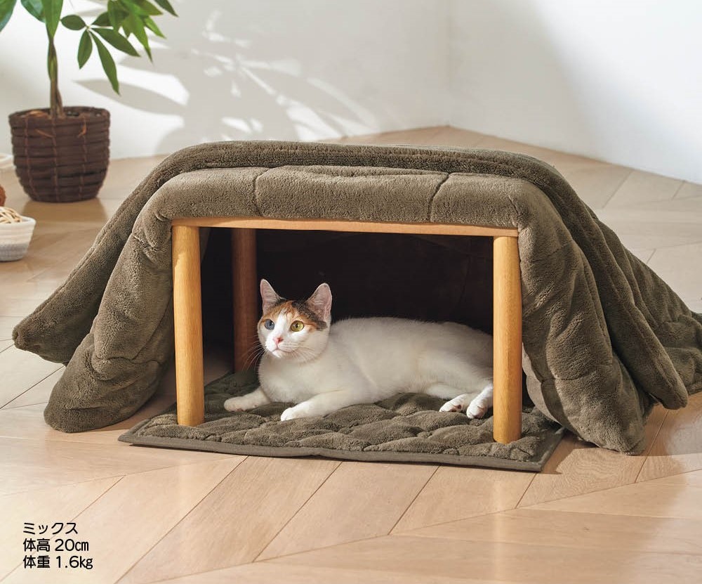 配送 ペティオ 犬猫用ヒーター カラダ全体を温めるペットのための電気