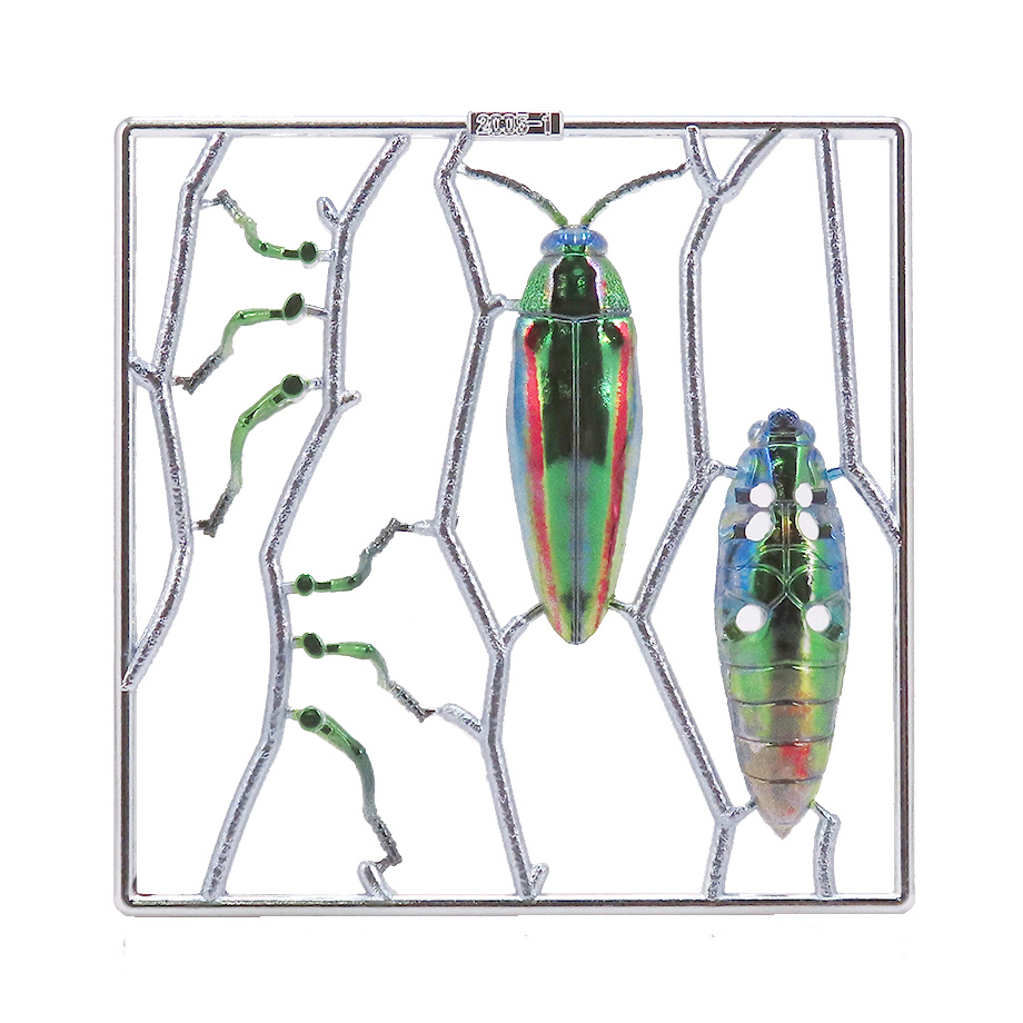 プリプラ ヤマトタマムシ – DIGISM-デジズム-