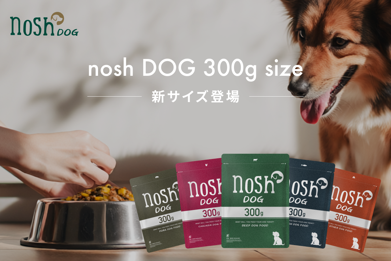thisisa***【未開封】nosh DOG ナッシュドッグ ドッグフー 新サービス