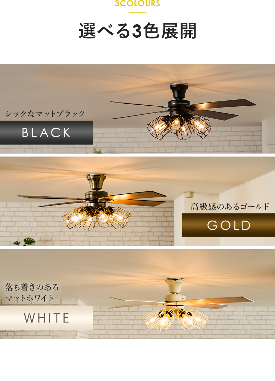 保証5年】JE-CF048 JAVALO ELF(ジャバロエルフ) Modern Collection