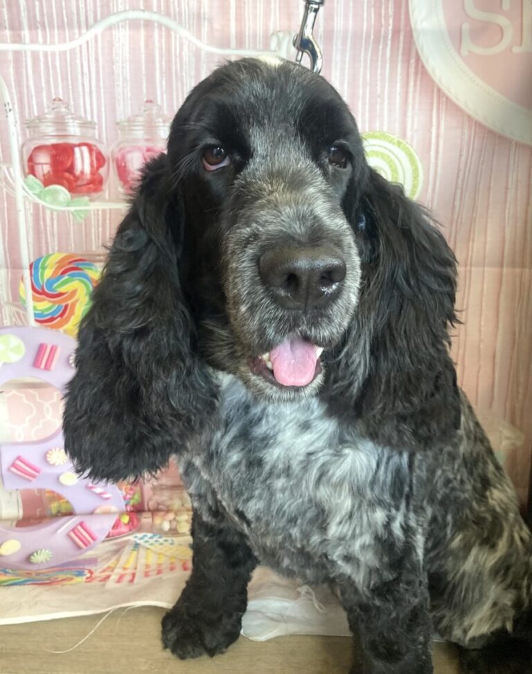 B985F049-E421-4C47-AEB2-