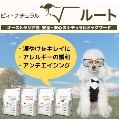 名古屋 正規取扱店】無添加ドッグフード ビィ・ナチュラル | DOGCAT COCO