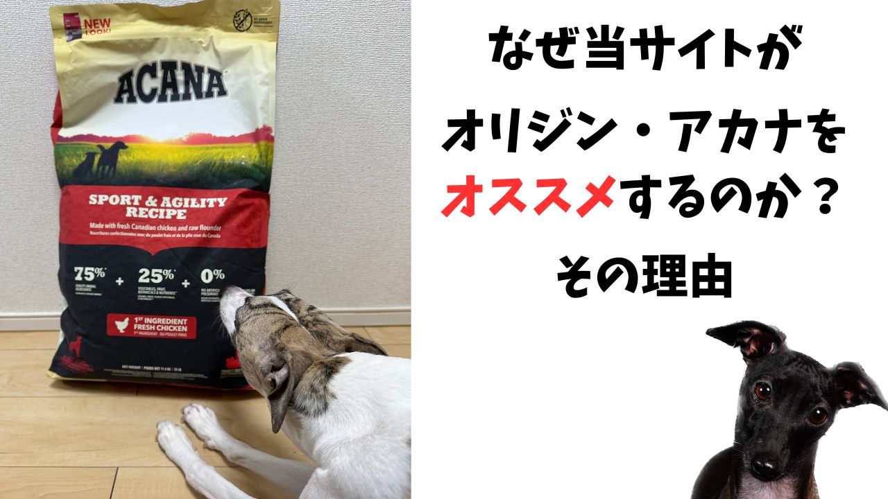 ACANA Senior Recipe ドライドッグフード 2KG 2セット ACANA Senior