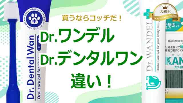 ドクターワンデルとドクターデンタルワンの違い！買うならコッチだ！